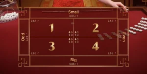 Fan Tan Nim Bet Rules: How Nim Bets Work, Payouts & Winning Examples